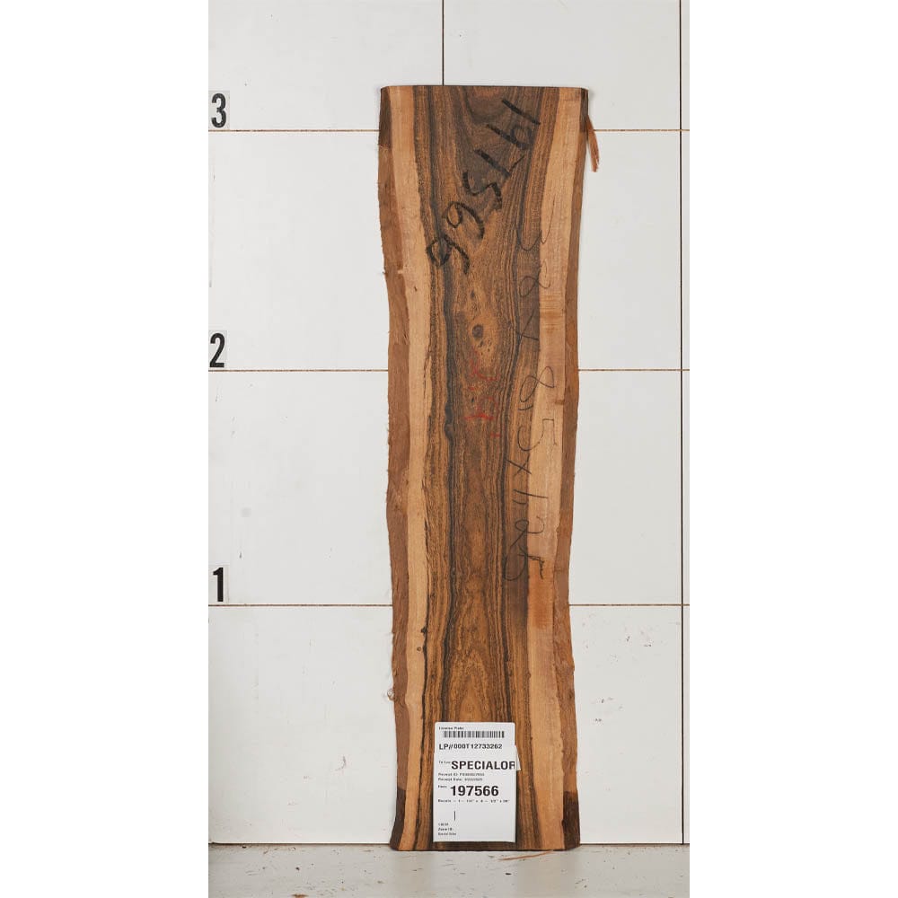 Bocote Wood Slab